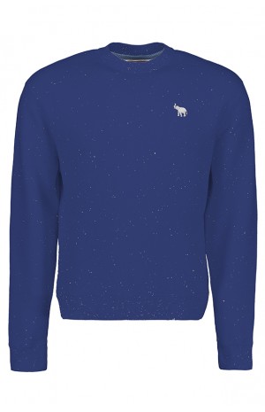 BLUE DOTTED SWEAT SHIRT